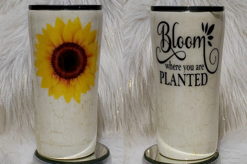 Sunflower Bloom, 20oz